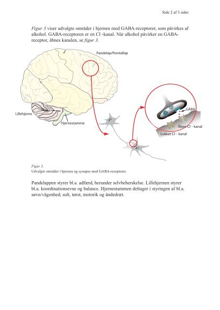 Opgave 4. Alkohol 1 2