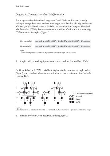 Opgave 4. Complex Vertebral Malformation