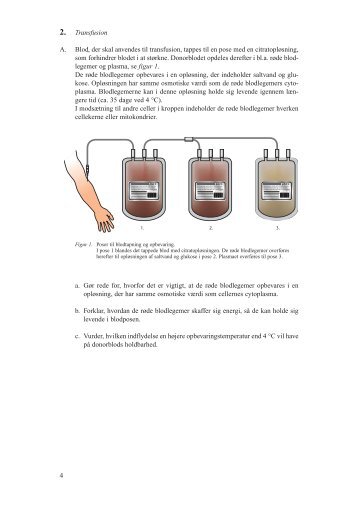 2. Transfusion A. Blod, der skal anvendes til transfusion, tappes til ...