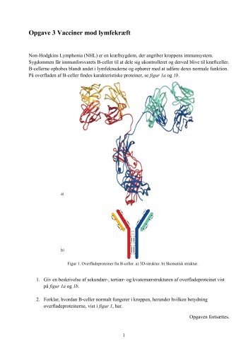 Opgave 3 Vacciner mod lymfekrÃ¦ft