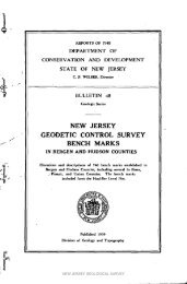 Bulletin 48, New Jersey Geodetic Control Survey Bench Marks in ...