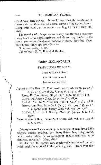 Bulletin 3. The flora of the Raritan Formation, 1911 - State of New ...