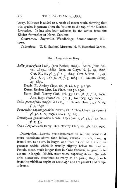 Bulletin 3. The flora of the Raritan Formation, 1911 - State of New ...