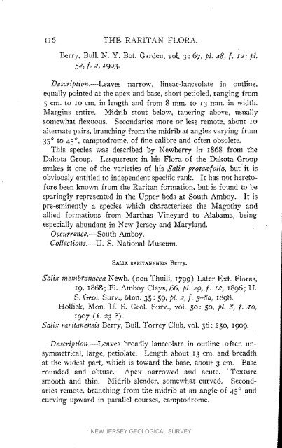 Bulletin 3. The flora of the Raritan Formation, 1911 - State of New ...