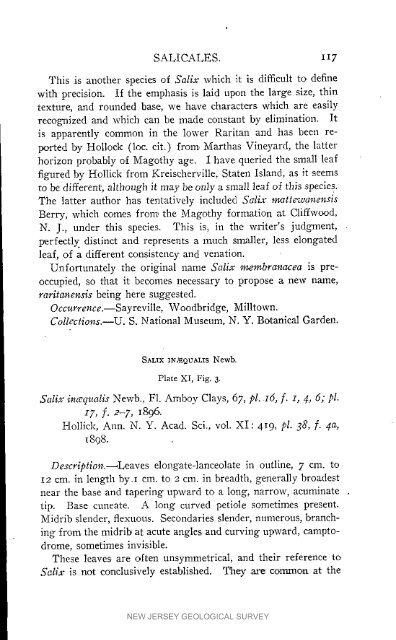 Bulletin 3. The flora of the Raritan Formation, 1911 - State of New ...