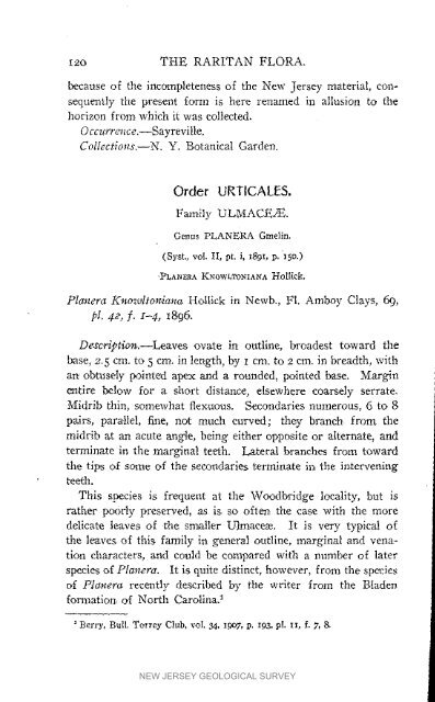 Bulletin 3. The flora of the Raritan Formation, 1911 - State of New ...