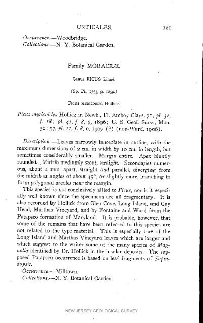 Bulletin 3. The flora of the Raritan Formation, 1911 - State of New ...