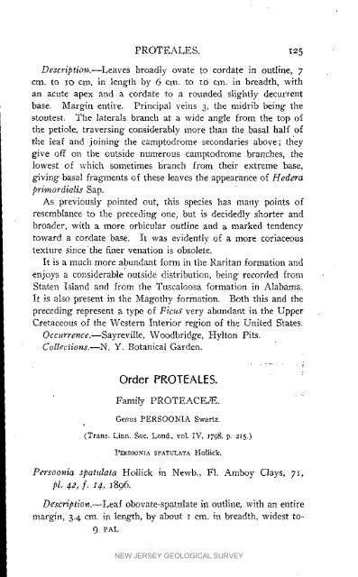 Bulletin 3. The flora of the Raritan Formation, 1911 - State of New ...