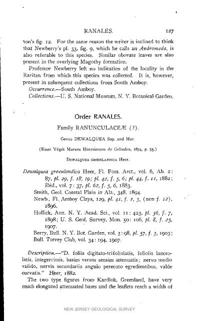 Bulletin 3. The flora of the Raritan Formation, 1911 - State of New ...