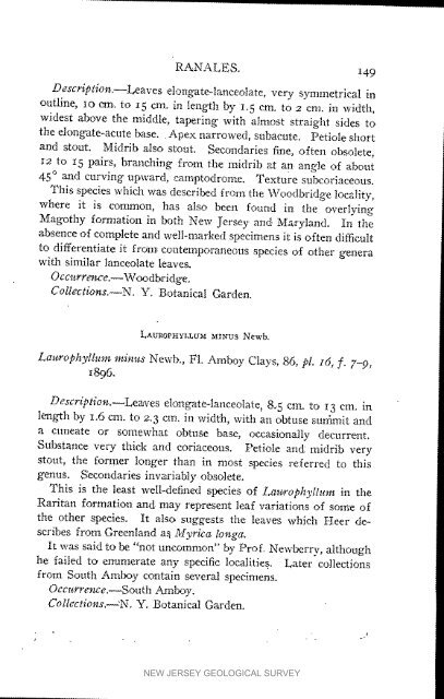 Bulletin 3. The flora of the Raritan Formation, 1911 - State of New ...