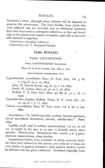 Bulletin 3. The flora of the Raritan Formation, 1911 - State of New ...