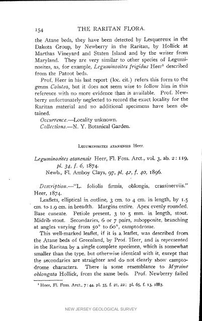 Bulletin 3. The flora of the Raritan Formation, 1911 - State of New ...