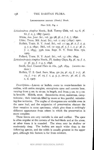 Bulletin 3. The flora of the Raritan Formation, 1911 - State of New ...