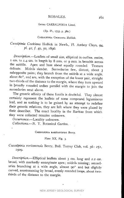 Bulletin 3. The flora of the Raritan Formation, 1911 - State of New ...