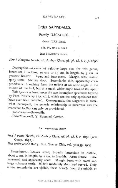 Bulletin 3. The flora of the Raritan Formation, 1911 - State of New ...