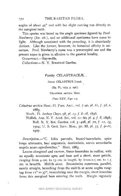 Bulletin 3. The flora of the Raritan Formation, 1911 - State of New ...