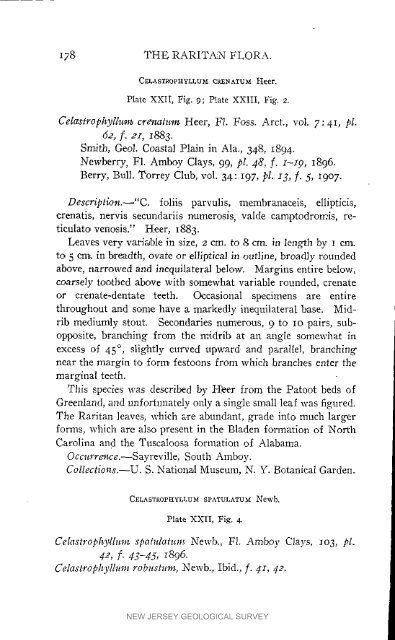 Bulletin 3. The flora of the Raritan Formation, 1911 - State of New ...