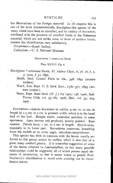 Bulletin 3. The flora of the Raritan Formation, 1911 - State of New ...