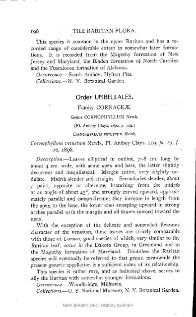 Bulletin 3. The flora of the Raritan Formation, 1911 - State of New ...