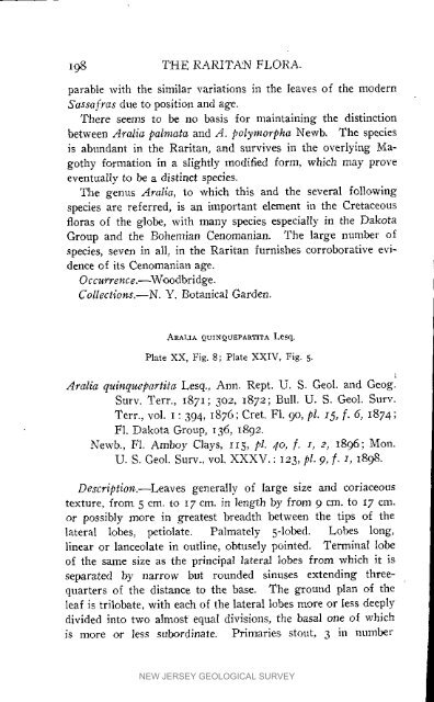 Bulletin 3. The flora of the Raritan Formation, 1911 - State of New ...