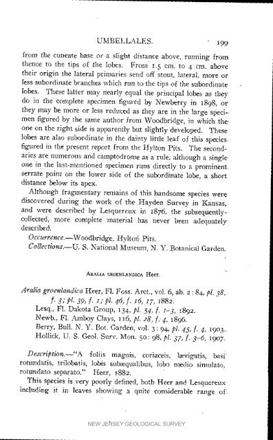 Bulletin 3. The flora of the Raritan Formation, 1911 - State of New ...