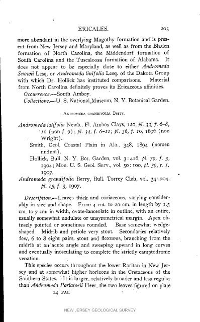 Bulletin 3. The flora of the Raritan Formation, 1911 - State of New ...