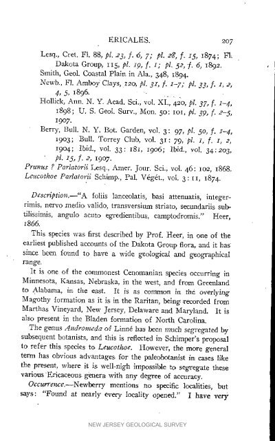 Bulletin 3. The flora of the Raritan Formation, 1911 - State of New ...