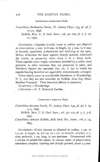 Bulletin 3. The flora of the Raritan Formation, 1911 - State of New ...