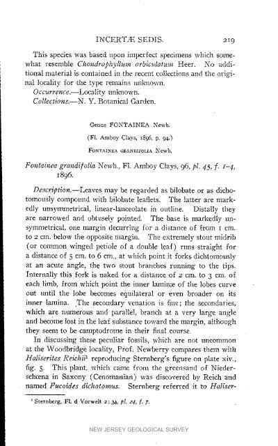 Bulletin 3. The flora of the Raritan Formation, 1911 - State of New ...