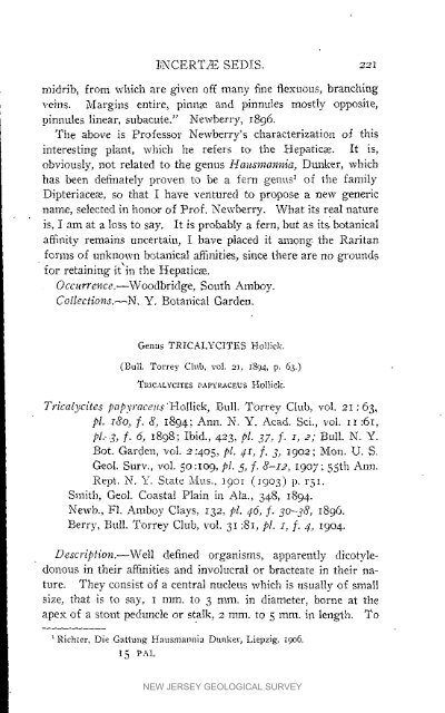 Bulletin 3. The flora of the Raritan Formation, 1911 - State of New ...