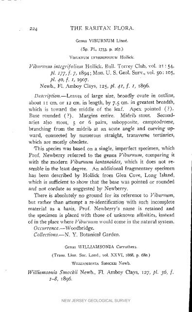 Bulletin 3. The flora of the Raritan Formation, 1911 - State of New ...