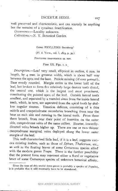 Bulletin 3. The flora of the Raritan Formation, 1911 - State of New ...