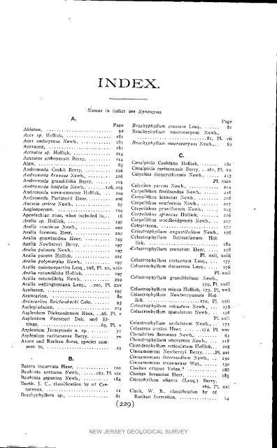 Bulletin 3. The flora of the Raritan Formation, 1911 - State of New ...