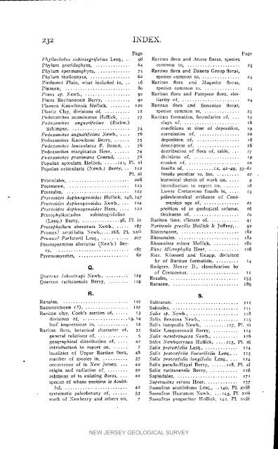 Bulletin 3. The flora of the Raritan Formation, 1911 - State of New ...