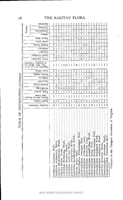 Bulletin 3. The flora of the Raritan Formation, 1911 - State of New ...