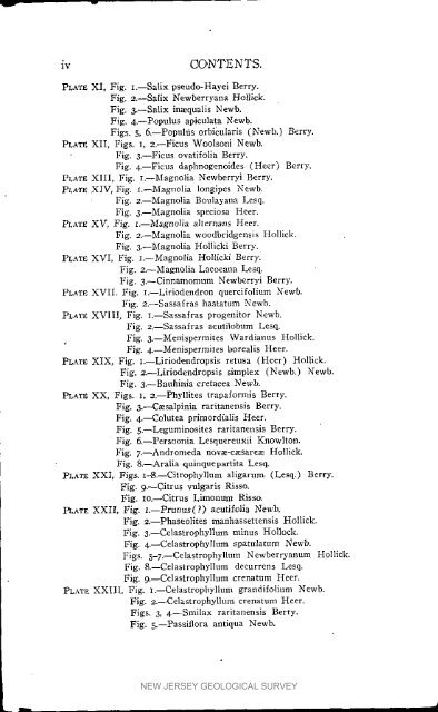 Bulletin 3. The flora of the Raritan Formation, 1911 - State of New ...