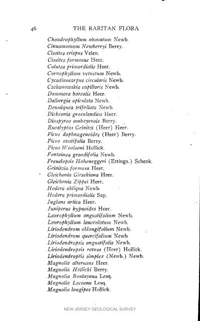 Bulletin 3. The flora of the Raritan Formation, 1911 - State of New ...