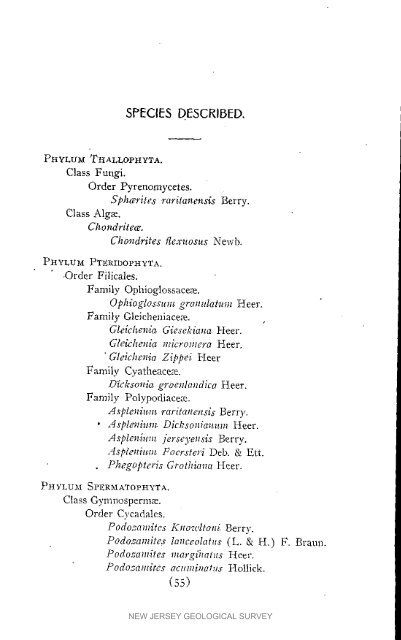 Bulletin 3. The flora of the Raritan Formation, 1911 - State of New ...