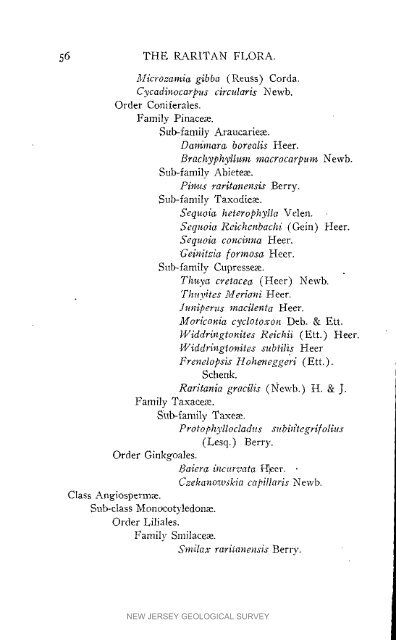 Bulletin 3. The flora of the Raritan Formation, 1911 - State of New ...