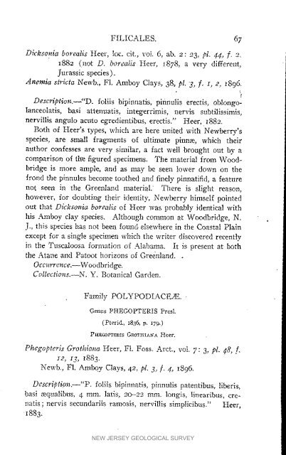 Bulletin 3. The flora of the Raritan Formation, 1911 - State of New ...