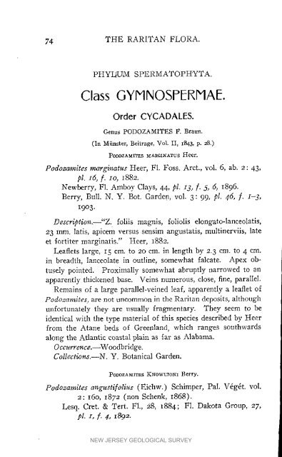 Bulletin 3. The flora of the Raritan Formation, 1911 - State of New ...