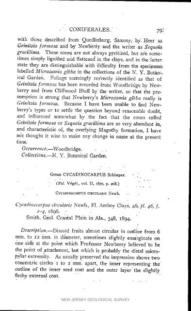 Bulletin 3. The flora of the Raritan Formation, 1911 - State of New ...