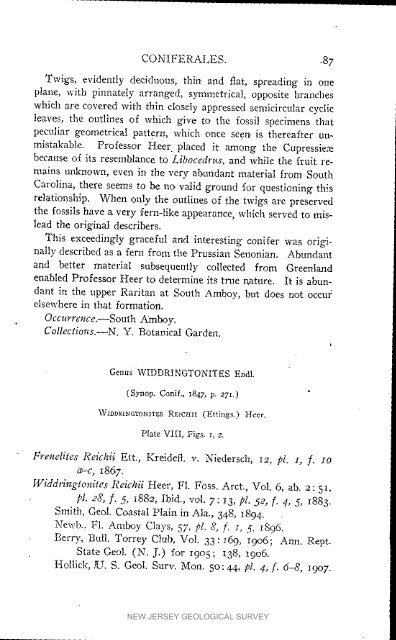 Bulletin 3. The flora of the Raritan Formation, 1911 - State of New ...