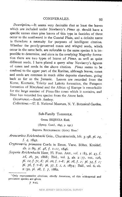 Bulletin 3. The flora of the Raritan Formation, 1911 - State of New ...