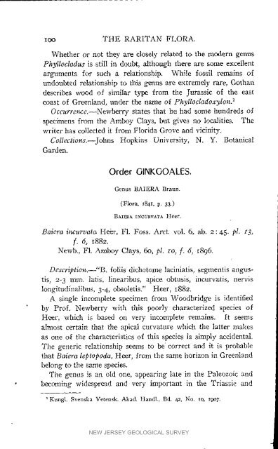 Bulletin 3. The flora of the Raritan Formation, 1911 - State of New ...