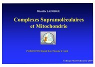 Mireille Laforge - MeetOchondrie