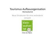 Rohkonzept für eine effiziente Tourismus-Organisation