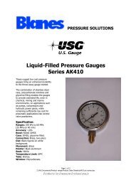 Liquid-Filled Pressure Gauges Series AK410 - Blanes Pressure ...