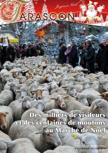 Des milliers de visiteurs et des centaines de moutons au ... - Tarascon