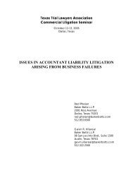 issues in accountant liability litigation arising from ... - Baker Botts LLP